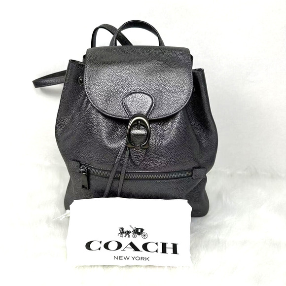 Coach Evie Backpack In Dark Grey Metallic Pebble Leather 79580 NWT - Picture 1 of 13